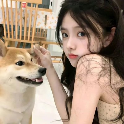 美丽的岛屿